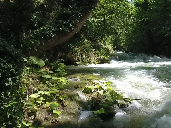 Correnti del Nera – 8^ edizione