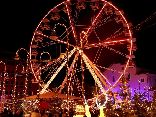 Natale a Terni: Una Cascata di Magia e Amore!