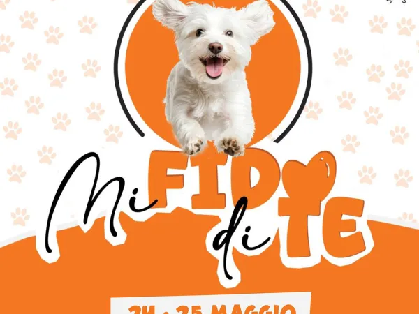 Mi fido di te