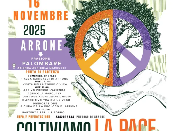 Camminata tra gli olivi - IX^ edizione