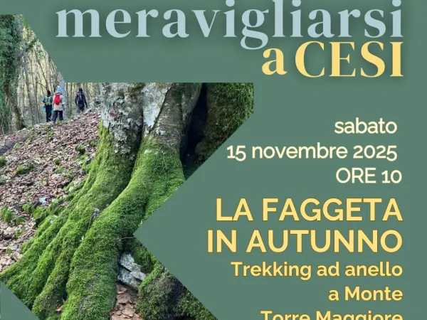 Meravigliarsi a Cesi