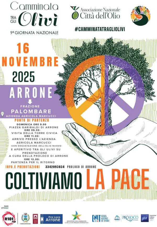Camminata tra gli olivi - IX^ edizione