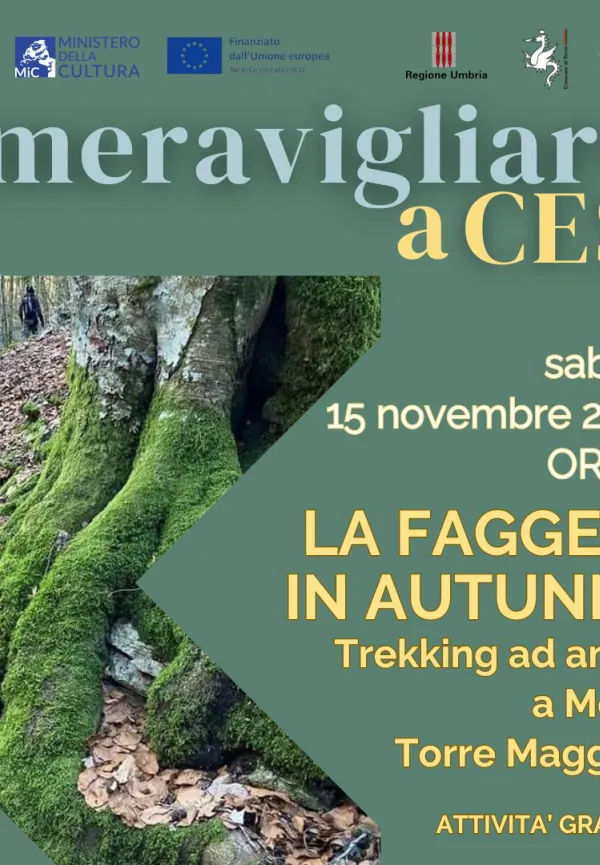 Meravigliarsi a Cesi, locandina