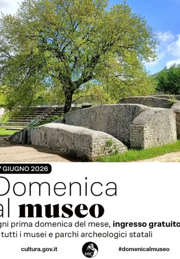 Domenica al Museo