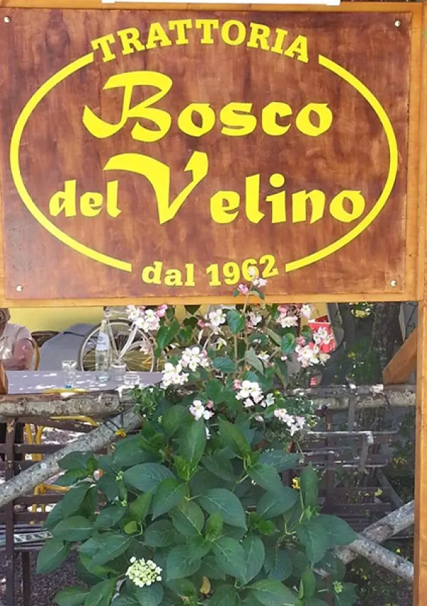 Bosco del Velino