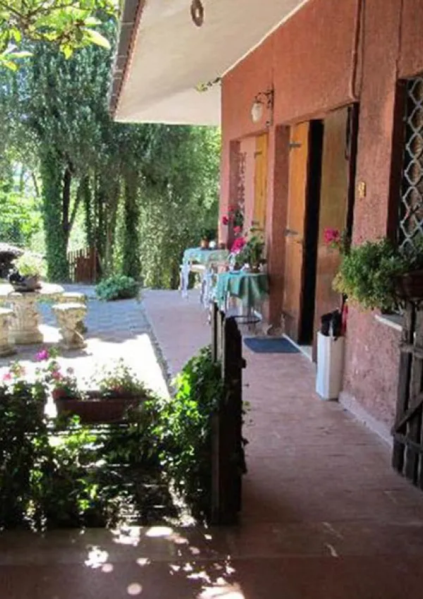 LE ACACIE FELICI LE ACACIE FELICI