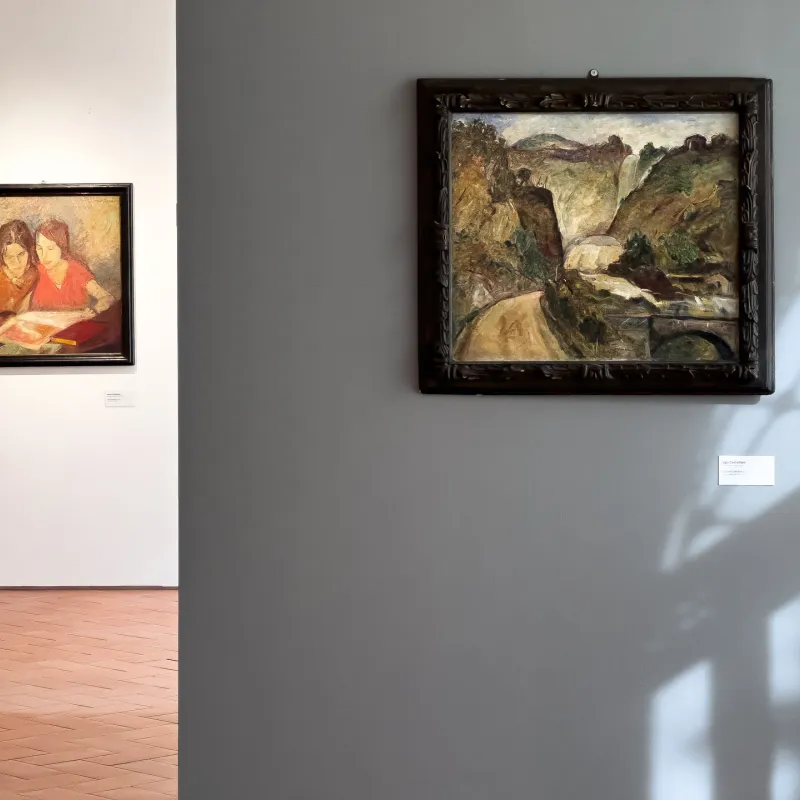 Museo d’Arte Moderna e Contemporanea “Aurelio De Felice”