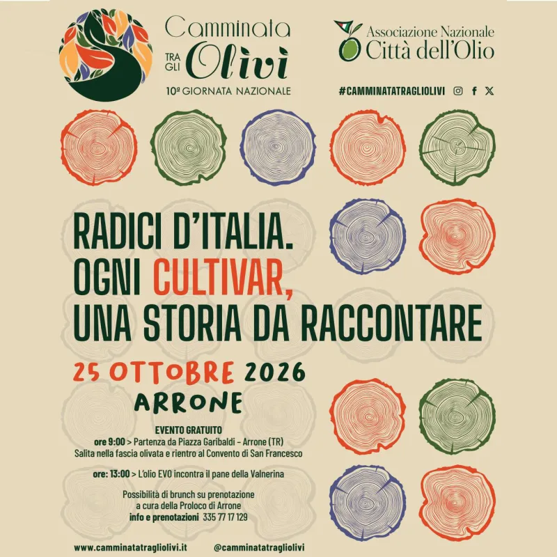  Camminata tra gli olivi